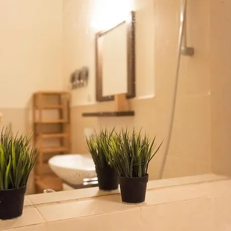 Apartament Velky *